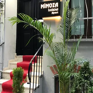 Mimoza ıstiklal , İstanbul Türkiye